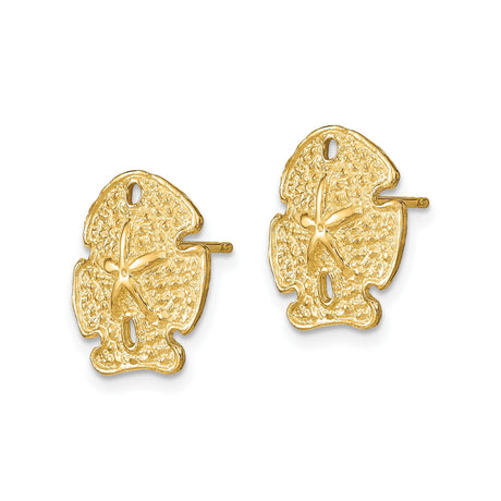 14k Yellow Gold Sand Dollar Stud Earrings, Nautical Coastal Theme for Women