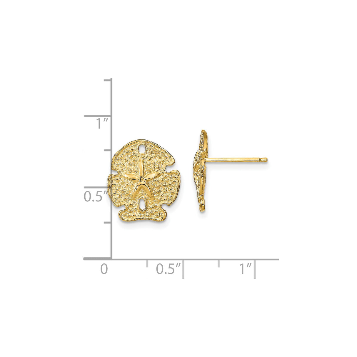 14k Yellow Gold Sand Dollar Stud Earrings, Nautical Coastal Theme for Women