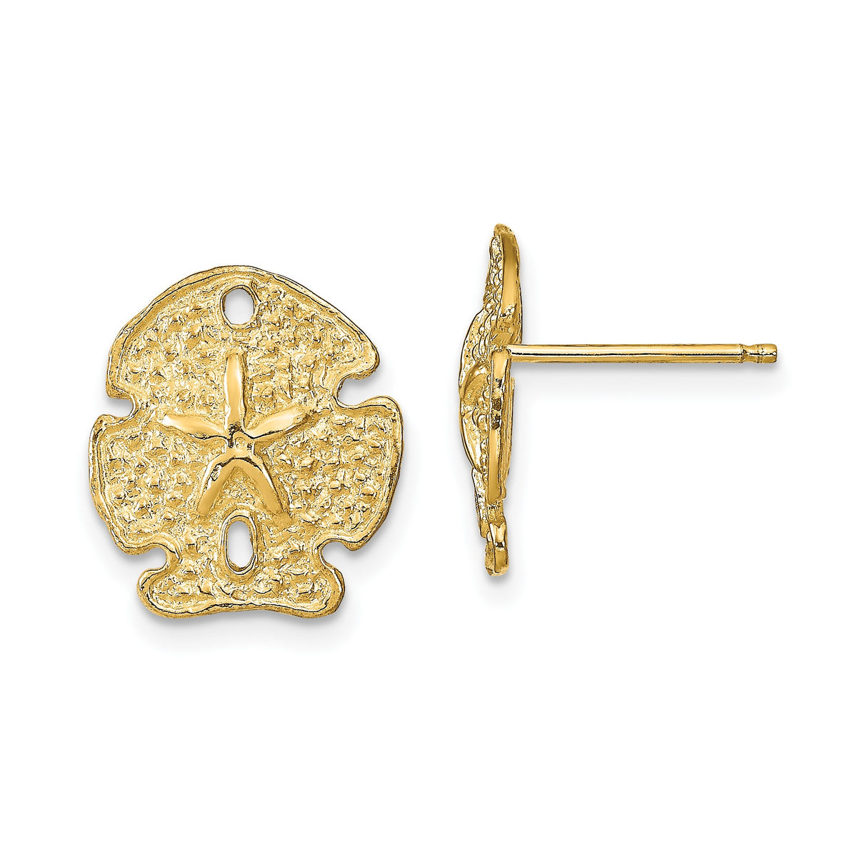 14k Yellow Gold Sand Dollar Stud Earrings, Nautical Coastal Theme for Women