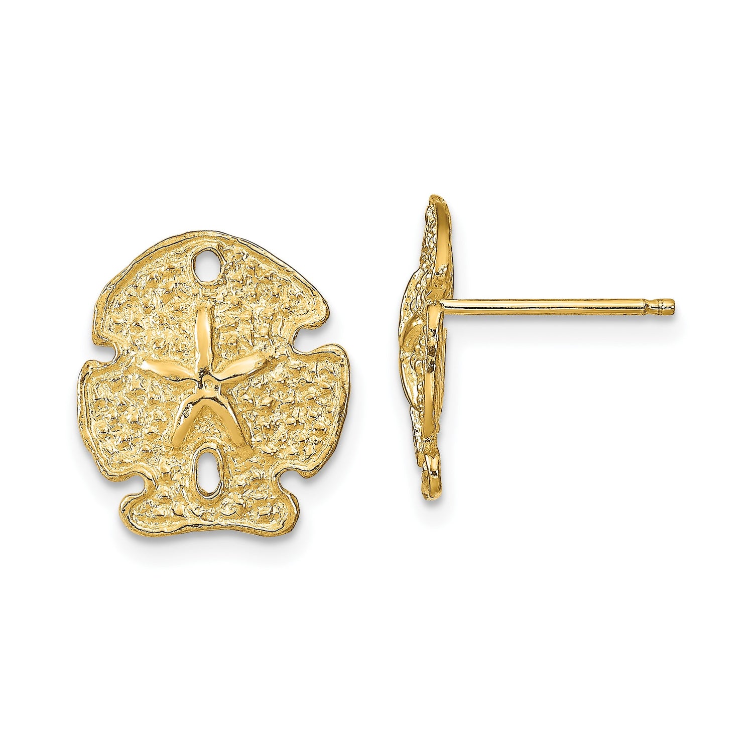 14k Yellow Gold Sand Dollar Stud Earrings, Nautical Coastal Theme for Women