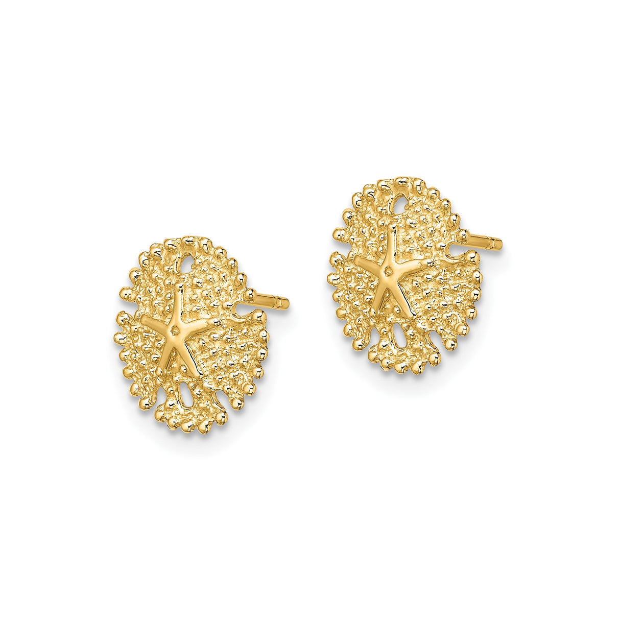 14k Yellow Gold Sand Dollar Stud Earrings with Starfish Motif, Coastal Nautical Design