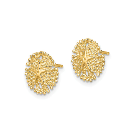14k Yellow Gold Sand Dollar Stud Earrings with Starfish Motif, Coastal Nautical Design