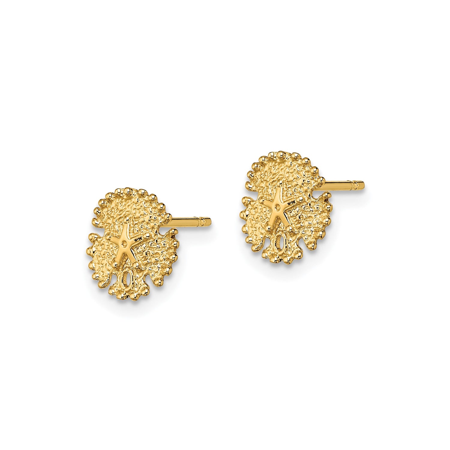 14k Yellow Gold Stud Earrings, Textured Sand Dollar with Starfish Motif, Nautical Coastal Style