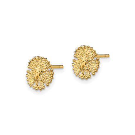14k Yellow Gold Stud Earrings, Textured Sand Dollar with Starfish Motif, Nautical Coastal Style