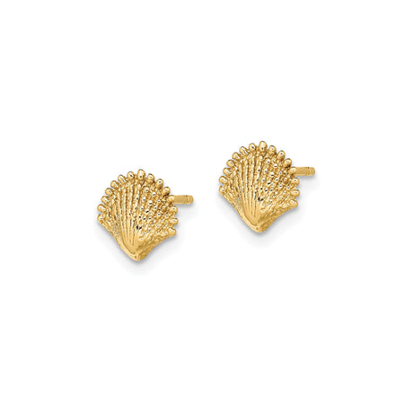 14k Yellow Gold Seashell Stud Earrings with Scallop Design, Ocean-Inspired Coastal Style