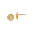14k Yellow Gold Seashell Stud Earrings with Scallop Design, Ocean-Inspired Coastal Style