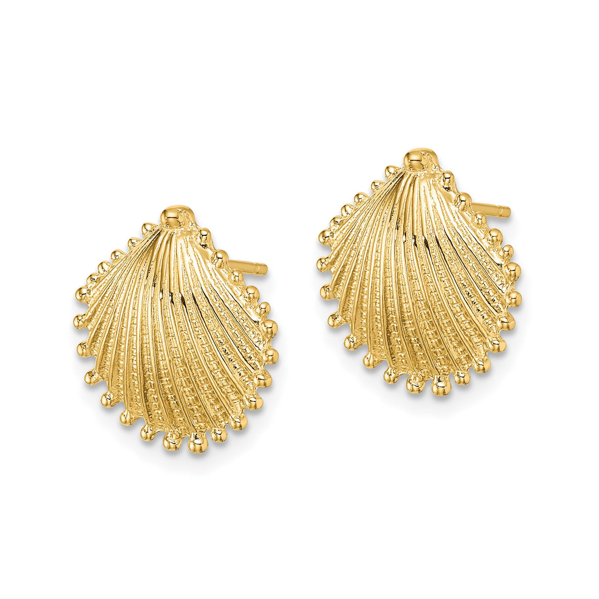 14k Yellow Gold Scallop Shell Stud Earrings, Textured Ocean Motif Coastal Design