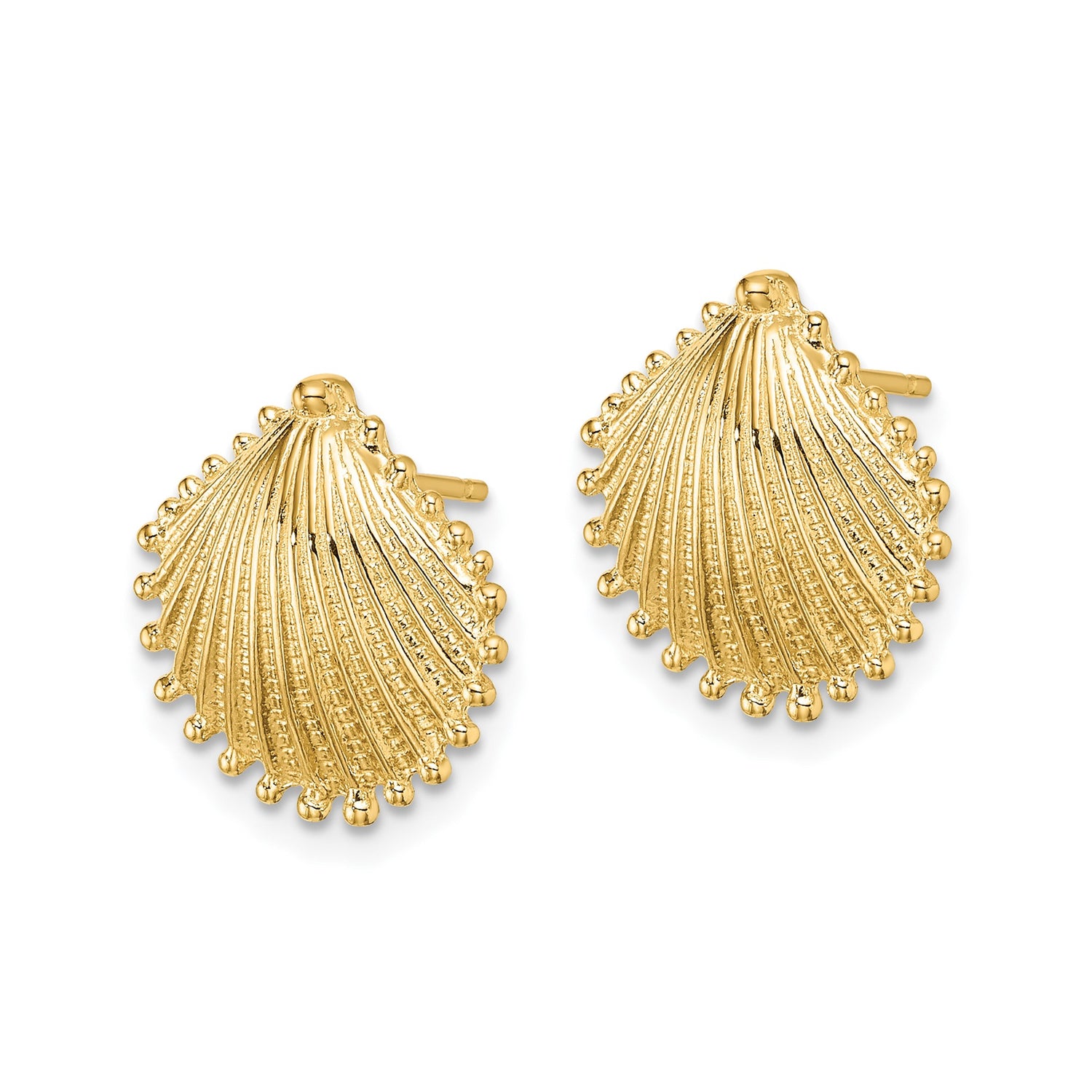 14k Yellow Gold Scallop Shell Stud Earrings, Textured Ocean Motif Coastal Design
