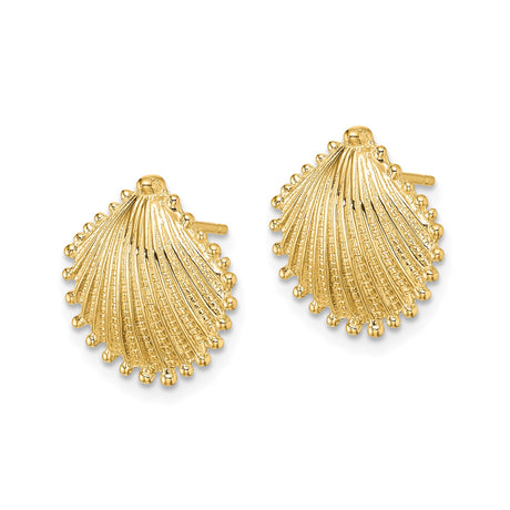 14k Yellow Gold Scallop Shell Stud Earrings, Textured Ocean Motif Coastal Design