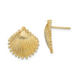 14k Yellow Gold Scallop Shell Stud Earrings, Textured Ocean Motif Coastal Design