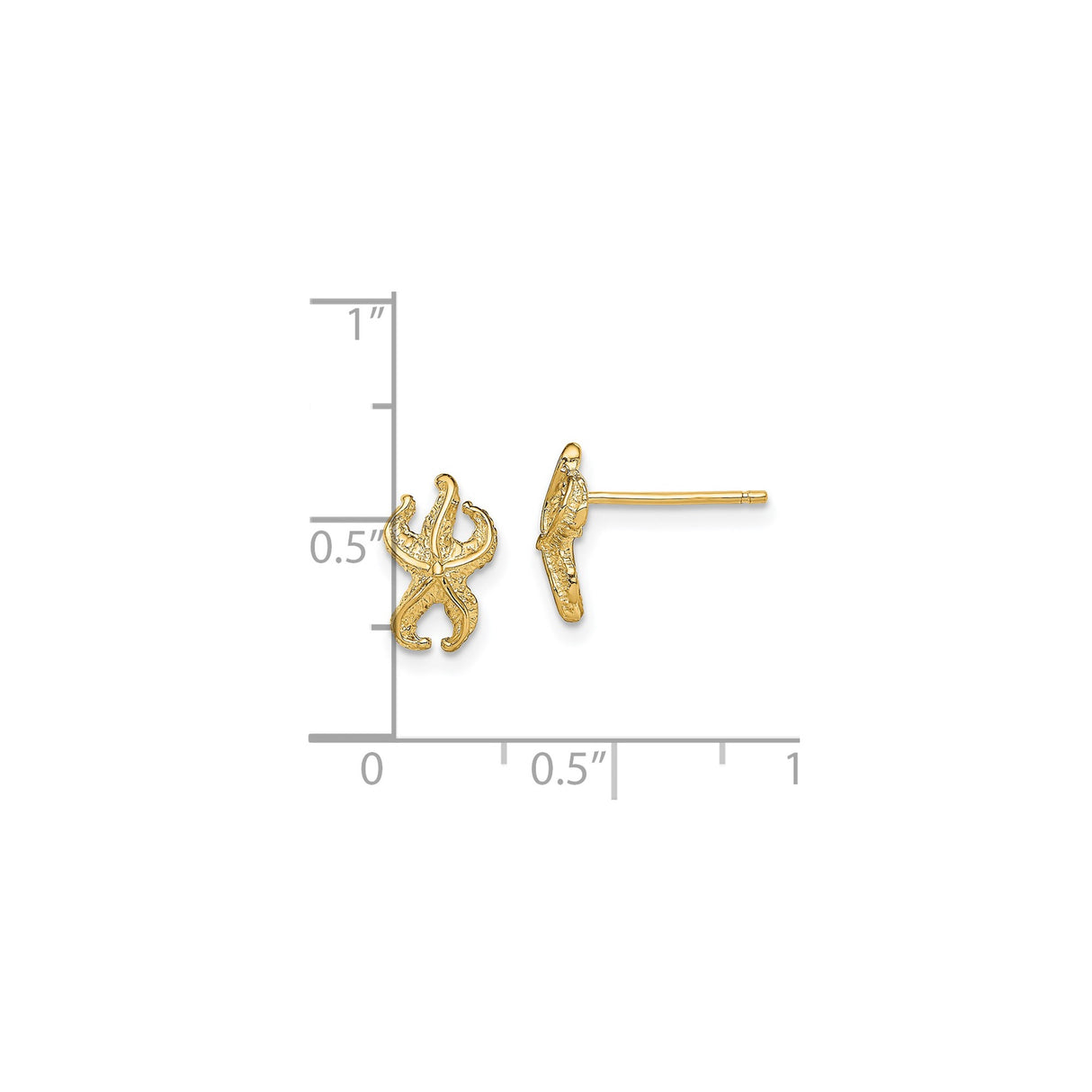 14k Yellow Gold Starfish Stud Earrings, Textured Nautical Marine Style for Women