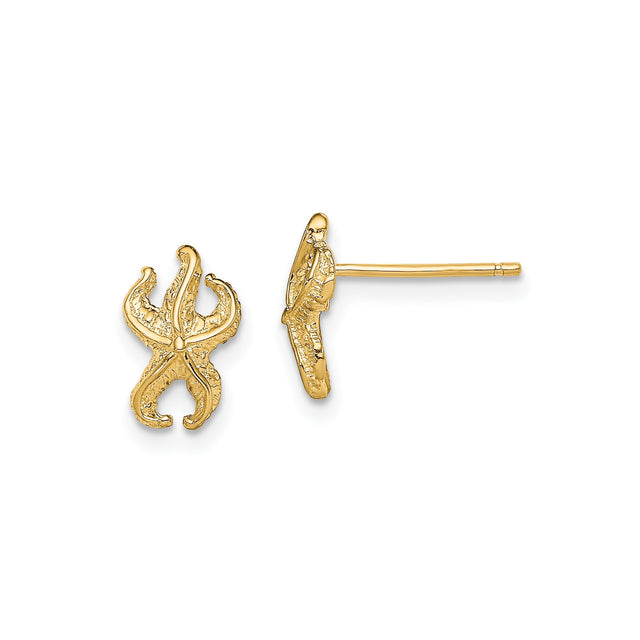 14k Yellow Gold Starfish Stud Earrings, Textured Nautical Marine Style for Women