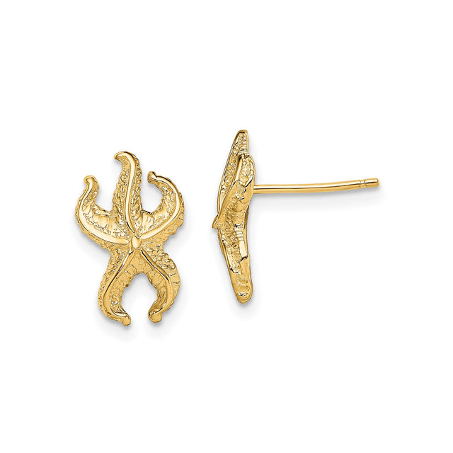 14k Yellow Gold Starfish Stud Earrings, Textured Marine Theme Coastal Design for Women