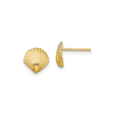 14k Yellow Gold Scallop Shell Stud Earrings, Coastal Seashell Design for Women