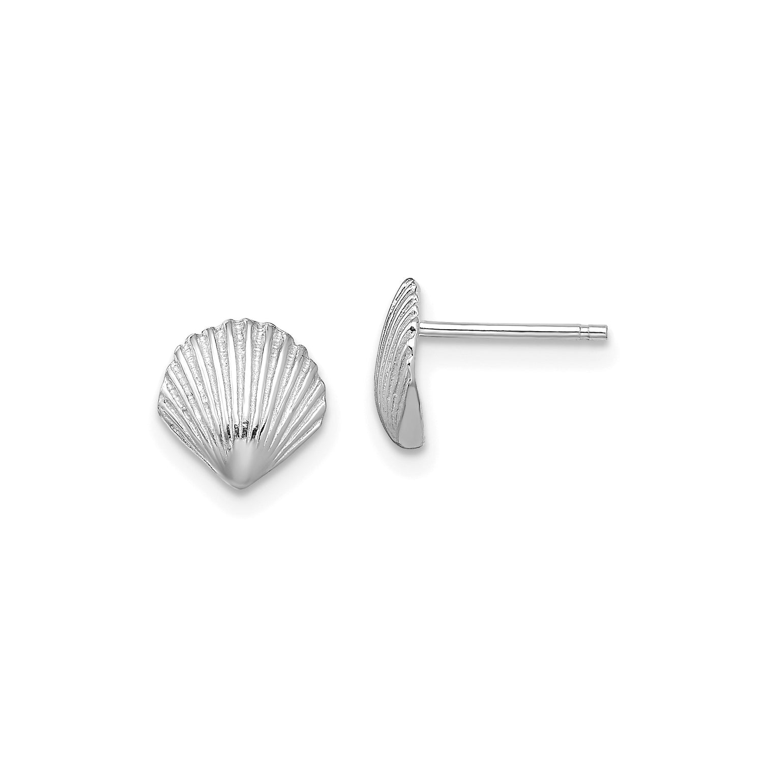 14k White Gold Seashell Stud Earrings, Scallop Shell Design, Coastal Beach Jewelry