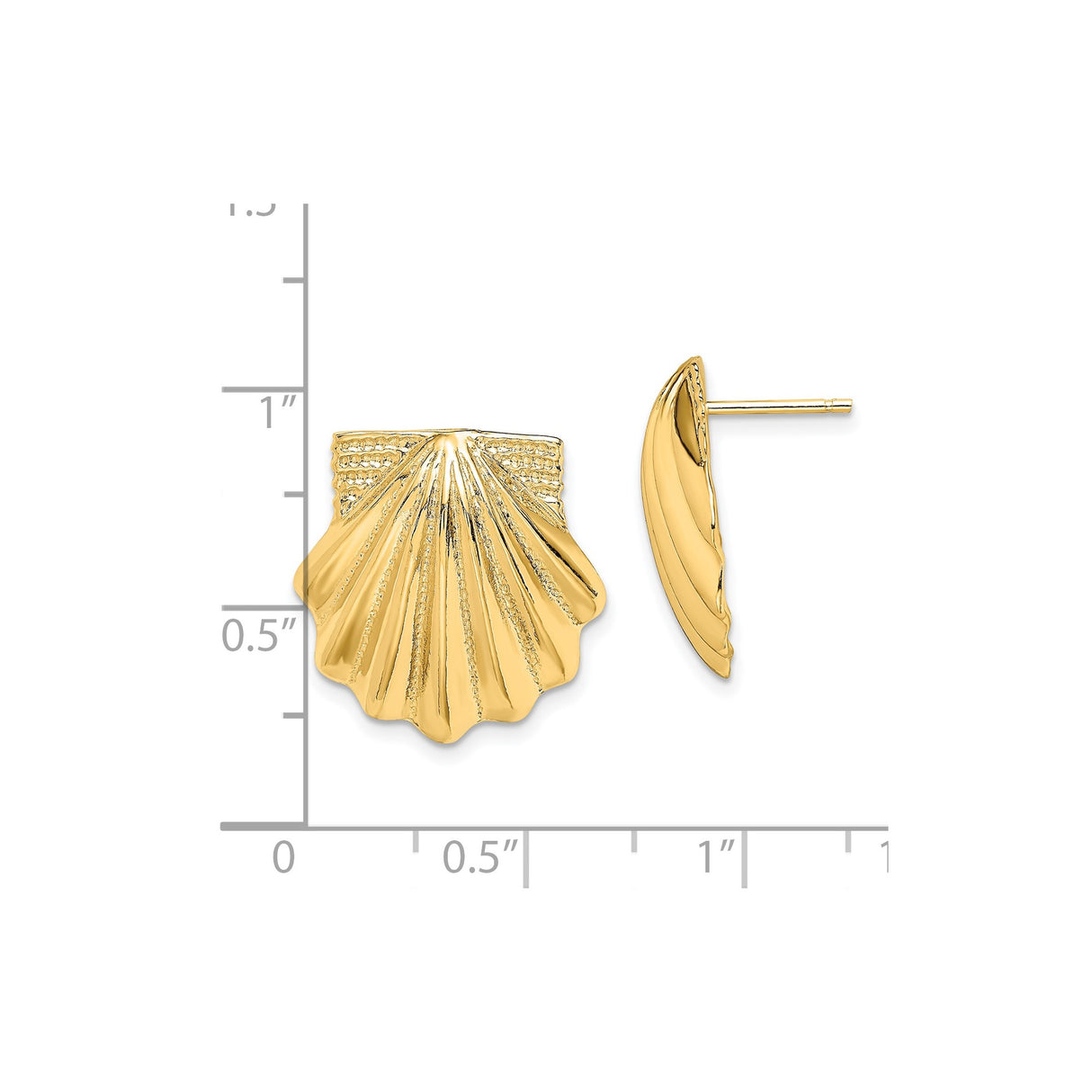 14k Yellow Gold Scallop Shell Stud Earrings, Polished Textured Nautical Coastal Design for Women