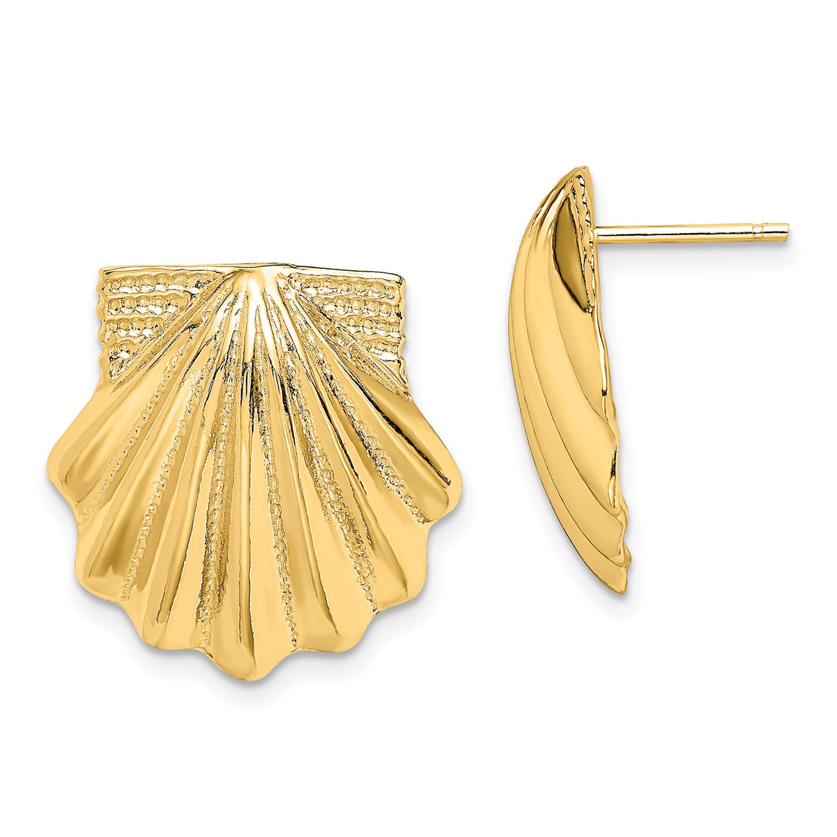 14k Yellow Gold Scallop Shell Stud Earrings, Polished Textured Nautical Coastal Design for Women