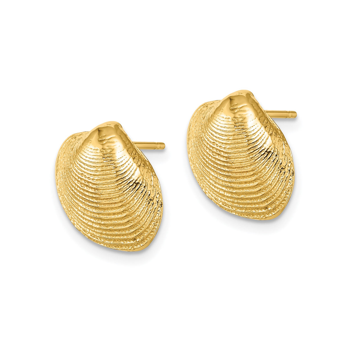 14k Yellow Gold Seashell Stud Earrings, Nautical Clam Shell Design for Women