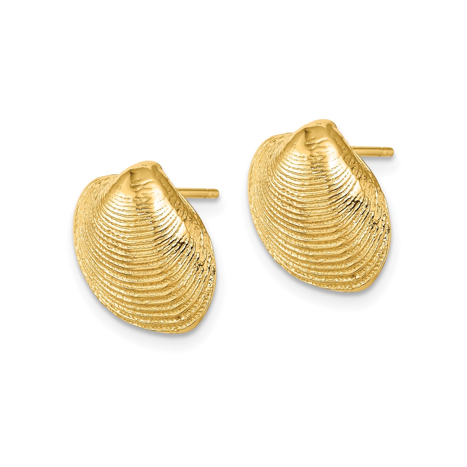 14k Yellow Gold Seashell Stud Earrings, Nautical Clam Shell Design for Women