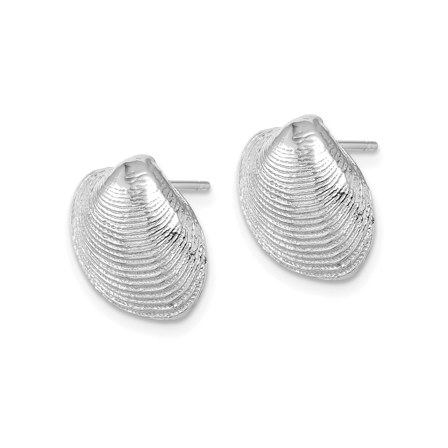 14k White Gold Seashell Stud Earrings with Clam Shell Design, Ocean Inspired Coastal Style