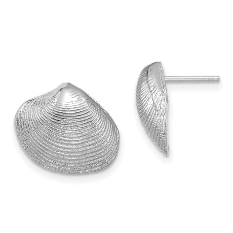 14k White Gold Seashell Stud Earrings with Clam Shell Design, Ocean Inspired Coastal Style