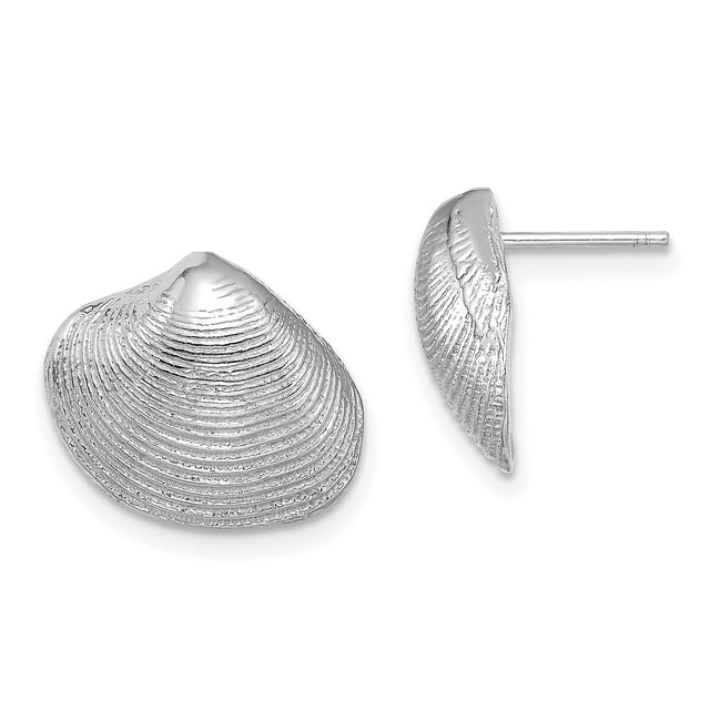 14k White Gold Seashell Stud Earrings with Clam Shell Design, Ocean Inspired Coastal Style
