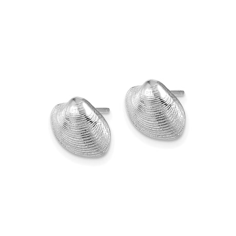 14k White Gold Clam Shell Stud Earrings, Nautical Ocean-Inspired Beach Jewelry for Women