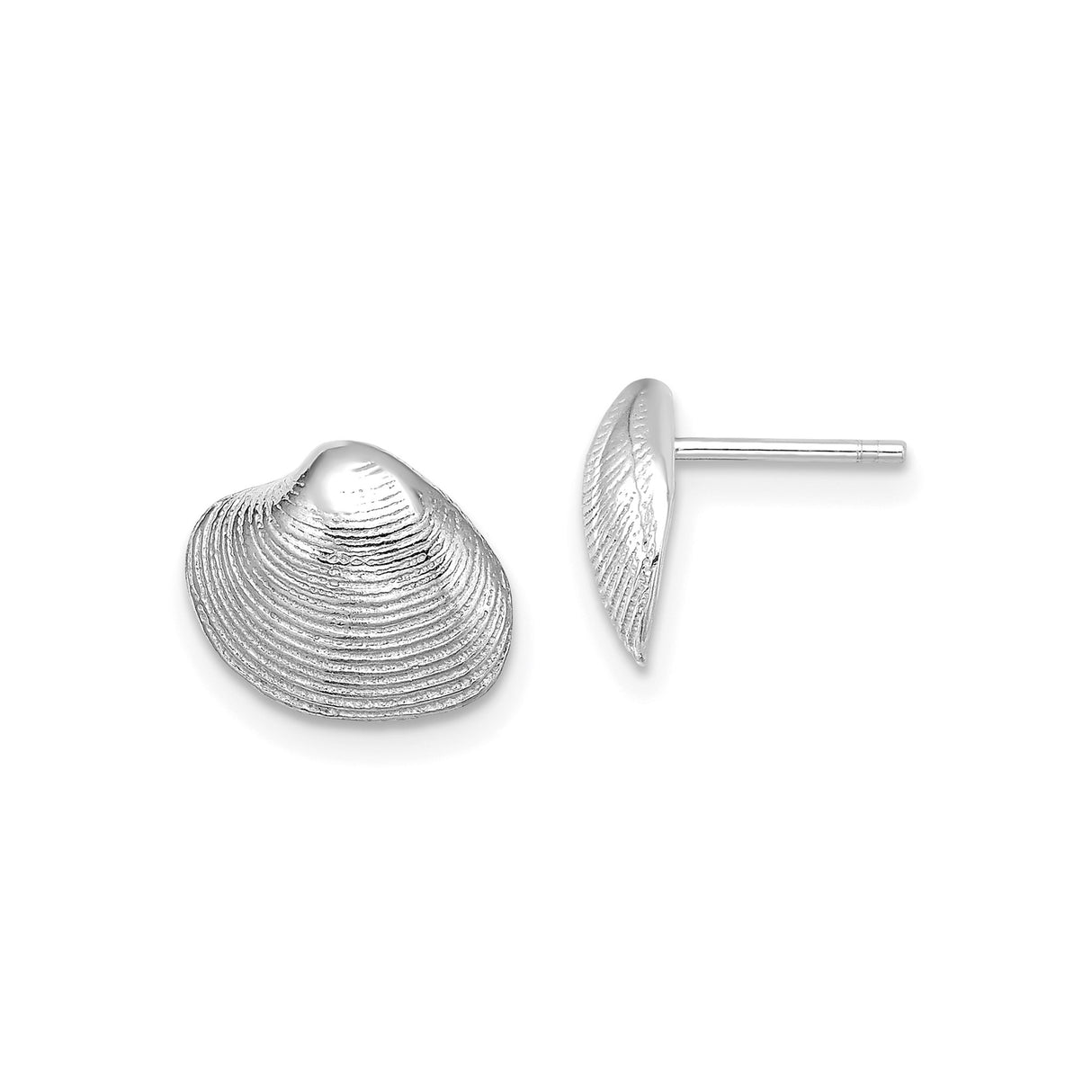 14k White Gold Clam Shell Stud Earrings, Nautical Ocean-Inspired Beach Jewelry for Women