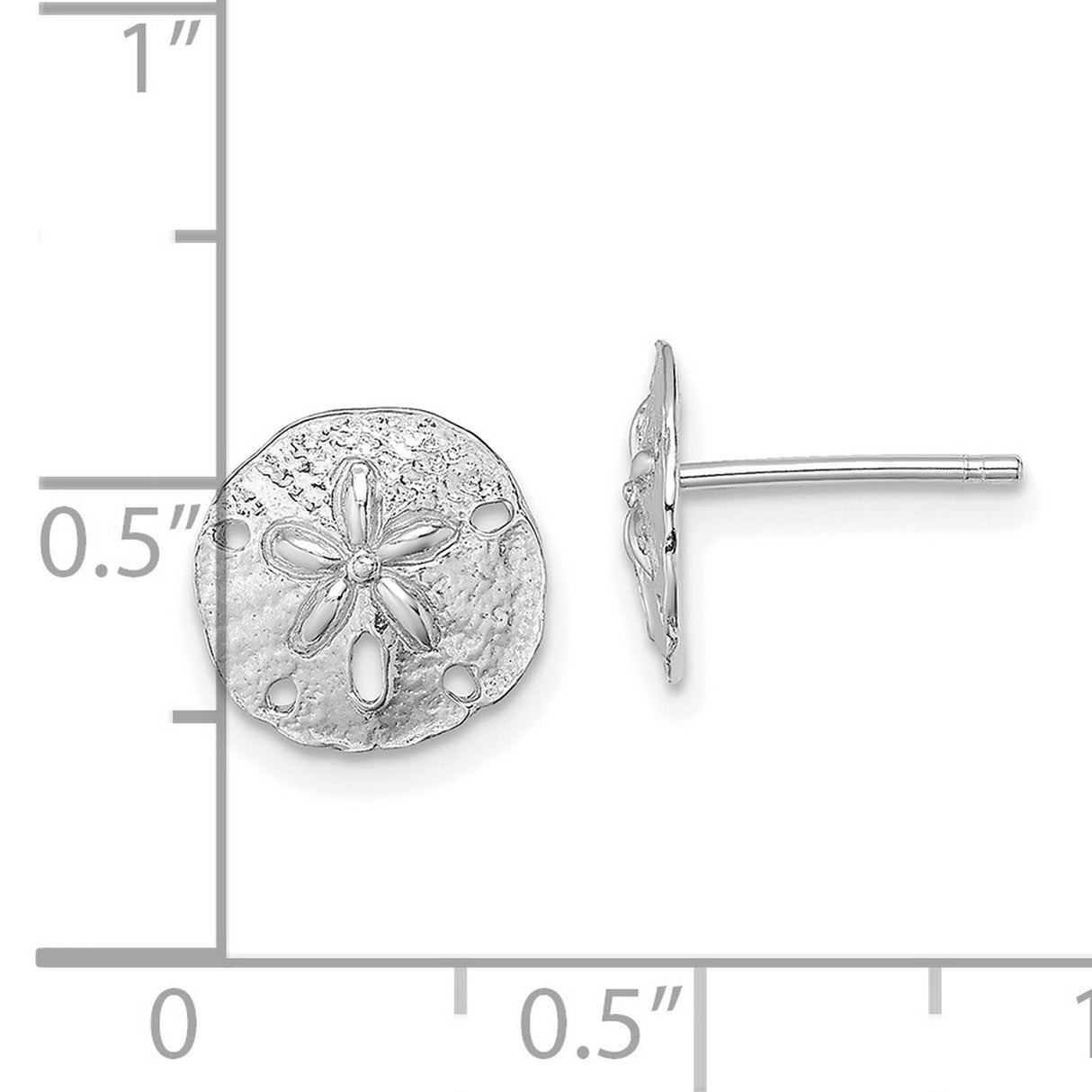 14k White Gold Sand Dollar Stud Earrings, Textured Ocean Coast Motif, Nautical Sea Life Style