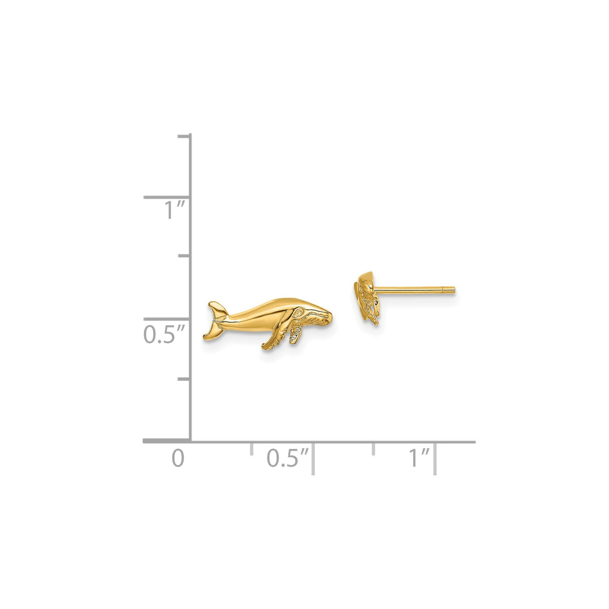 14k Yellow Gold Humpback Whale Stud Earrings, Nautical Ocean Animal Jewelry for Women and Unisex