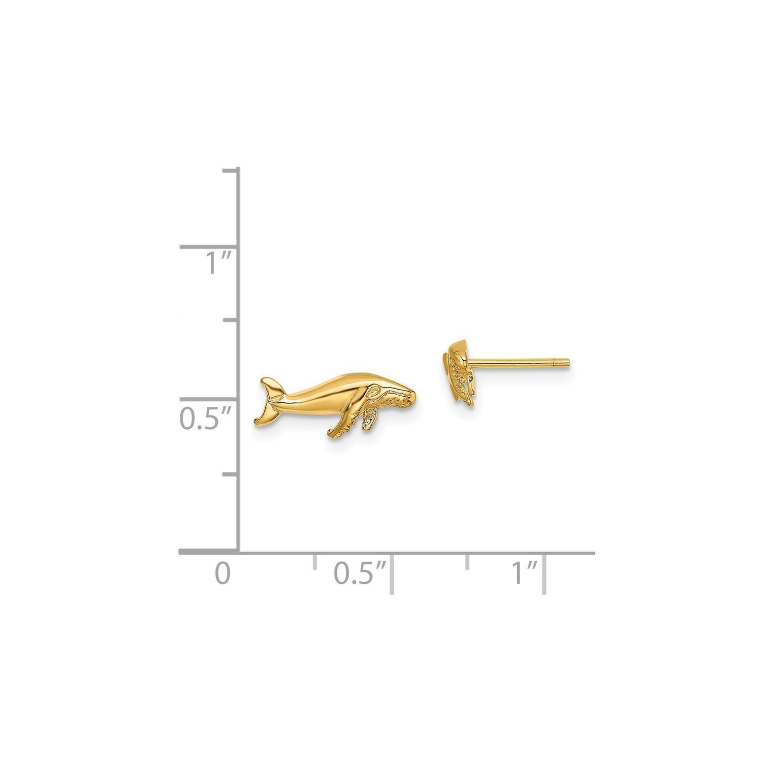 14k Yellow Gold Humpback Whale Stud Earrings, Nautical Ocean Animal Jewelry for Women and Unisex