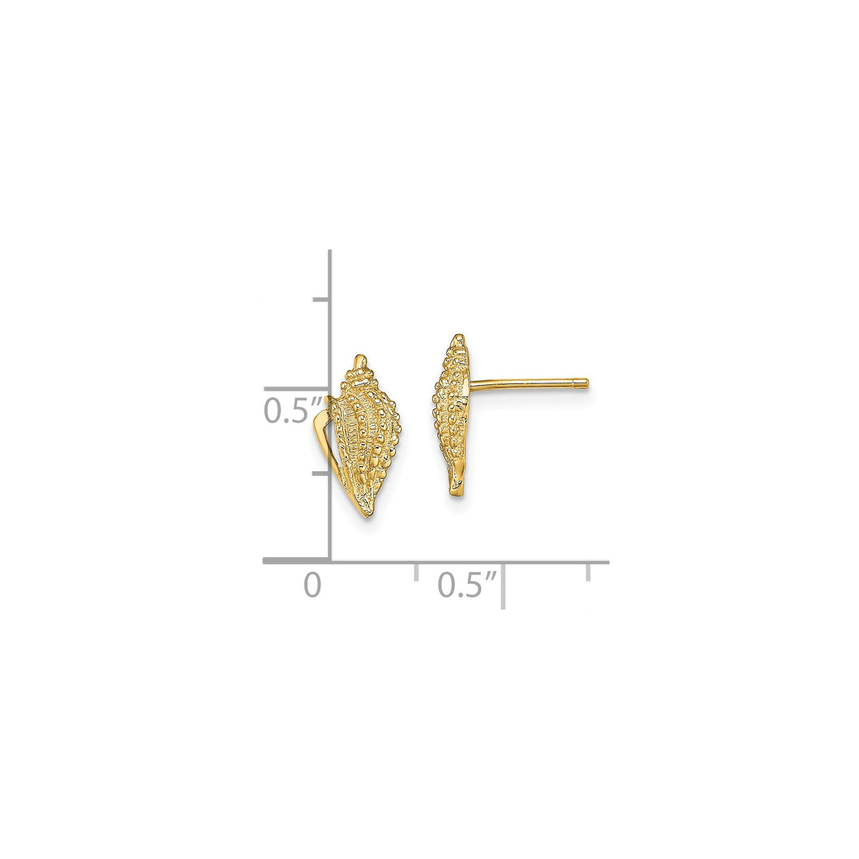 14k Yellow Gold Seashell Stud Earrings, Conch Shell Design, Nautical Beach Style for Women