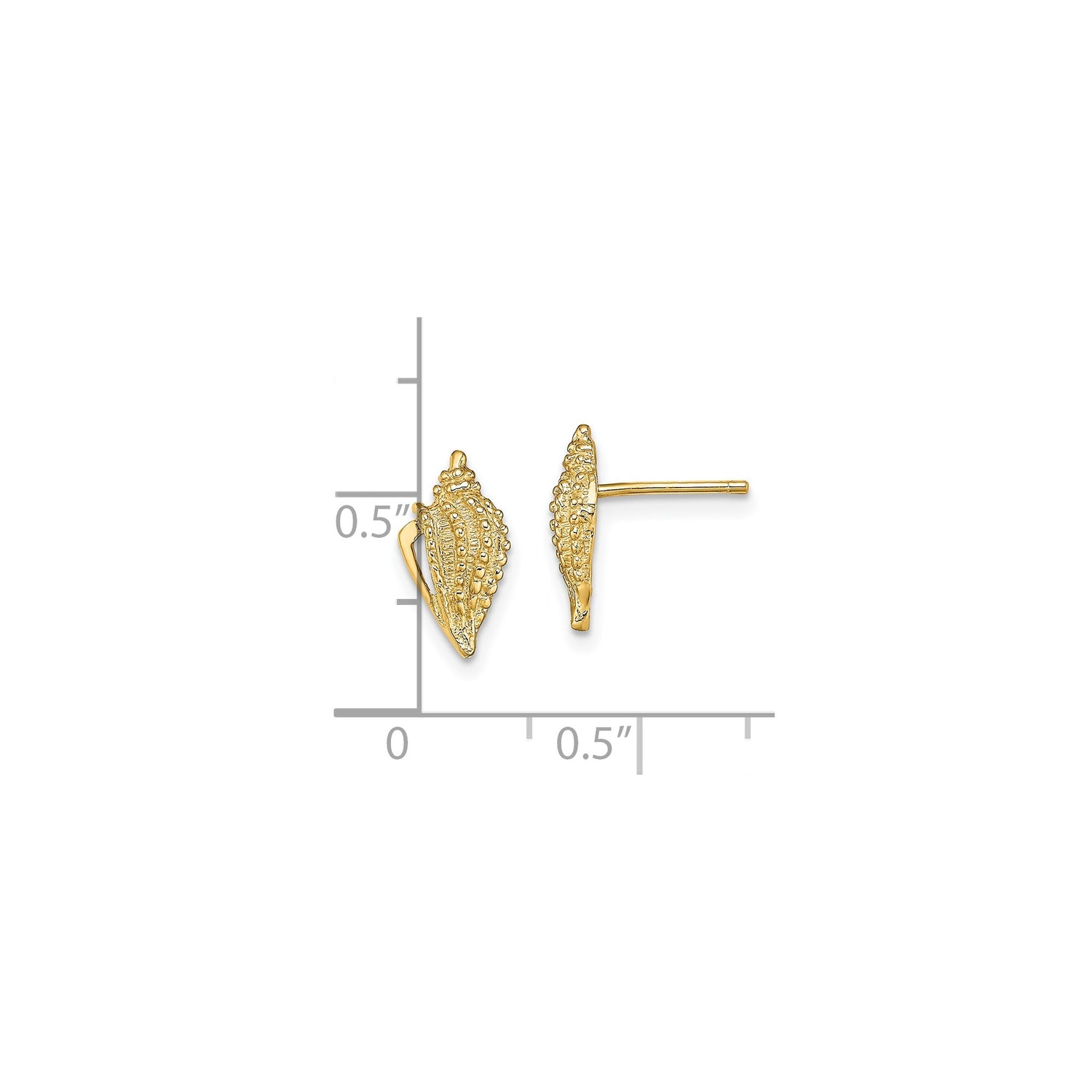 14k Yellow Gold Seashell Stud Earrings, Conch Shell Design, Nautical Beach Style for Women