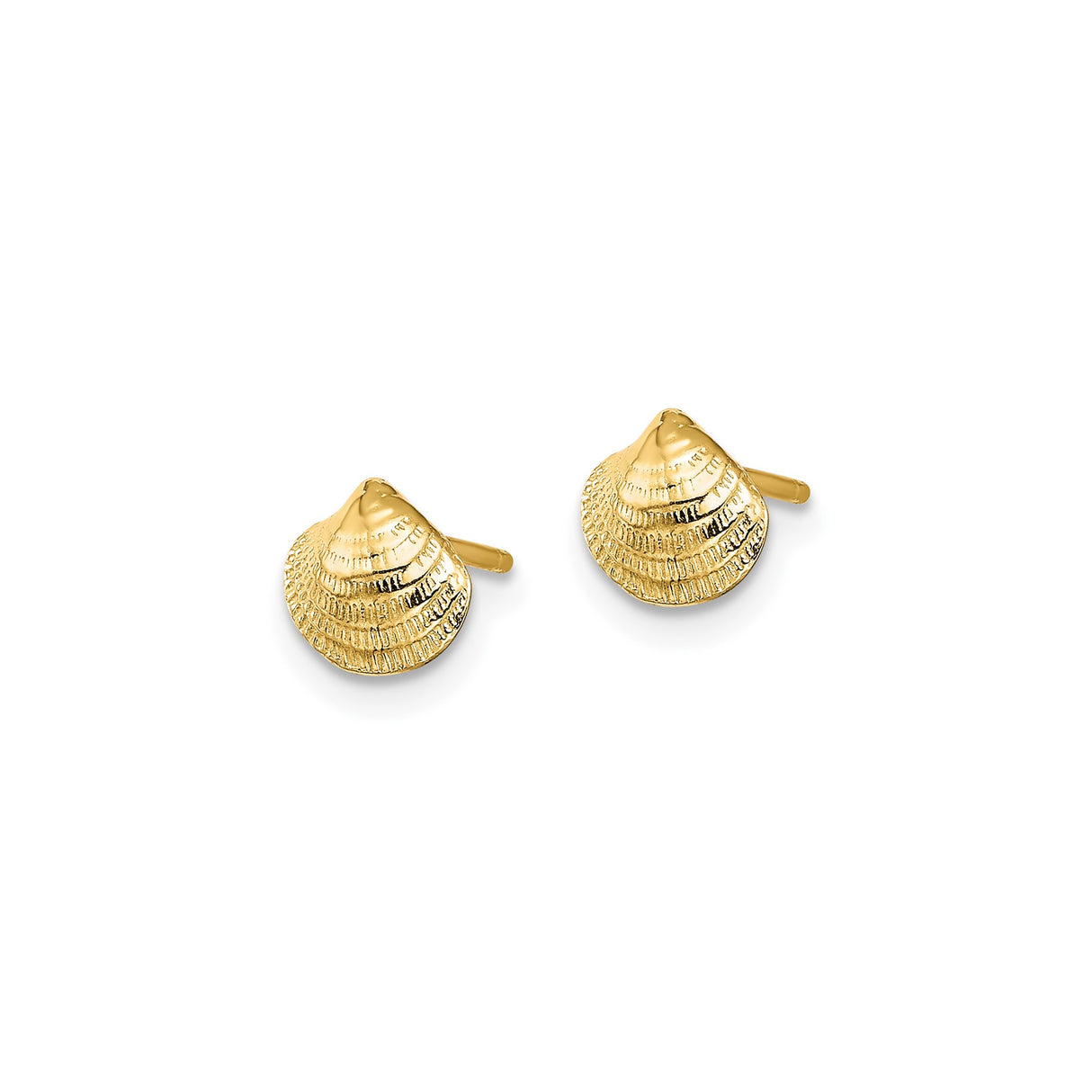 14k Yellow Gold Seashell Stud Earrings, Coastal Inspired Nautical Design for Women