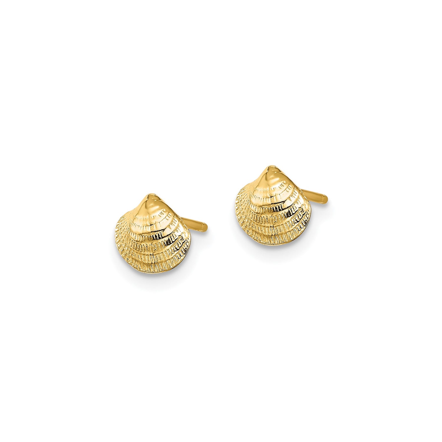 14k Yellow Gold Seashell Stud Earrings, Coastal Inspired Nautical Design for Women