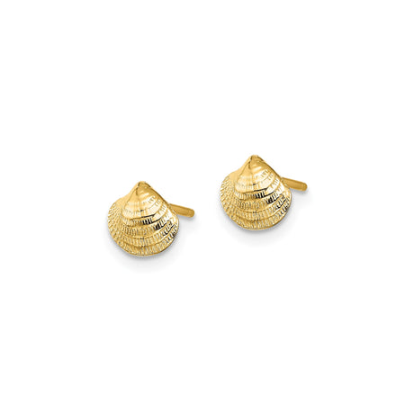 14k Yellow Gold Seashell Stud Earrings, Coastal Inspired Nautical Design for Women
