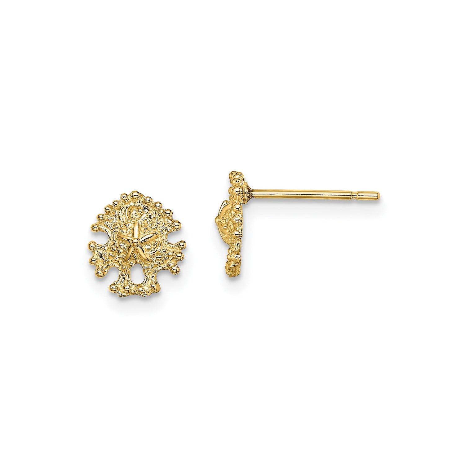14k Yellow Gold Sand Dollar Stud Earrings, Textured Coastal Marine Design