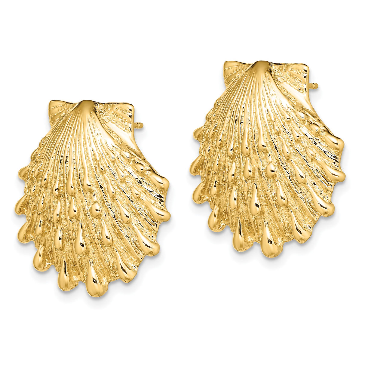 14k Yellow Gold Scallop Seashell Stud Earrings, Coastal Ocean Theme for Women
