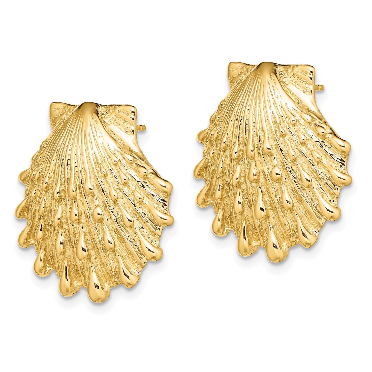 14k Yellow Gold Scallop Seashell Stud Earrings, Coastal Ocean Theme for Women