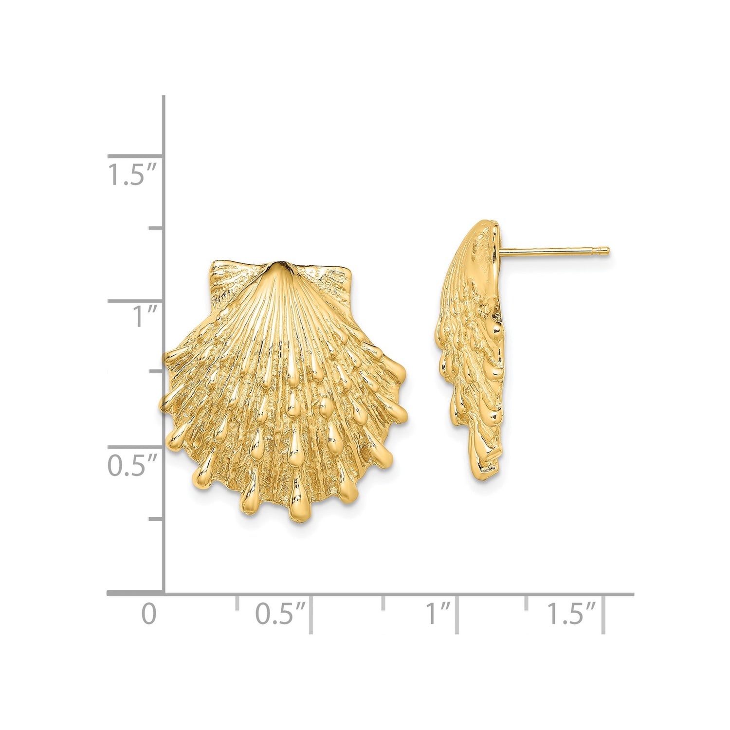 14k Yellow Gold Scallop Seashell Stud Earrings, Coastal Ocean Theme for Women
