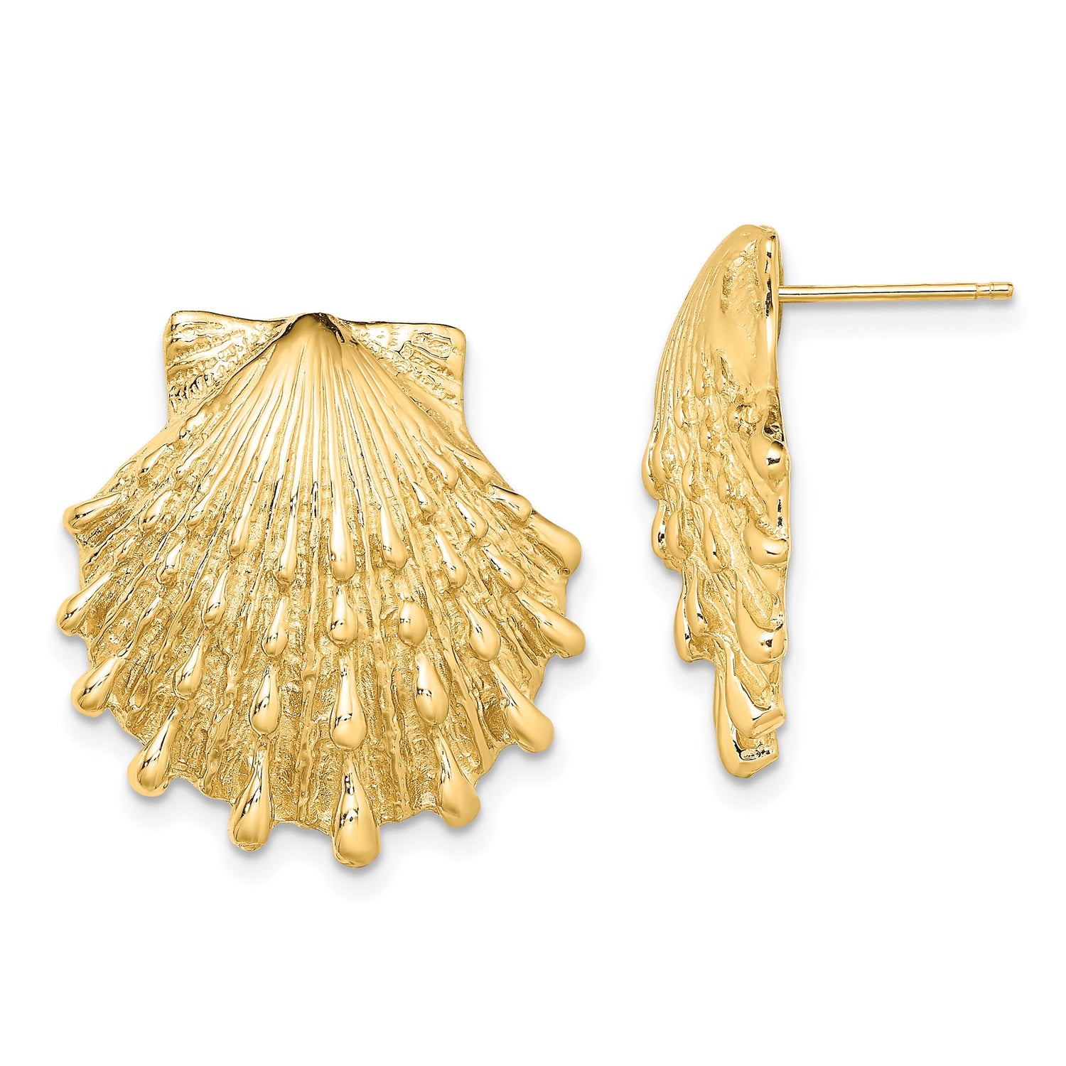 14k Yellow Gold Scallop Seashell Stud Earrings, Coastal Ocean Theme for Women