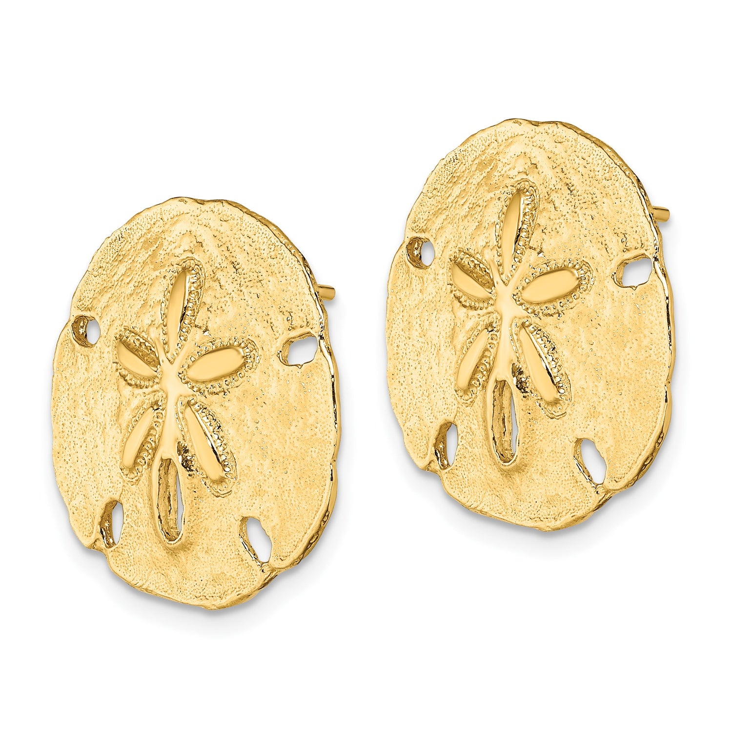14k Yellow Gold Sand Dollar Stud Earrings, Textured Coastal Nautical Design for Women