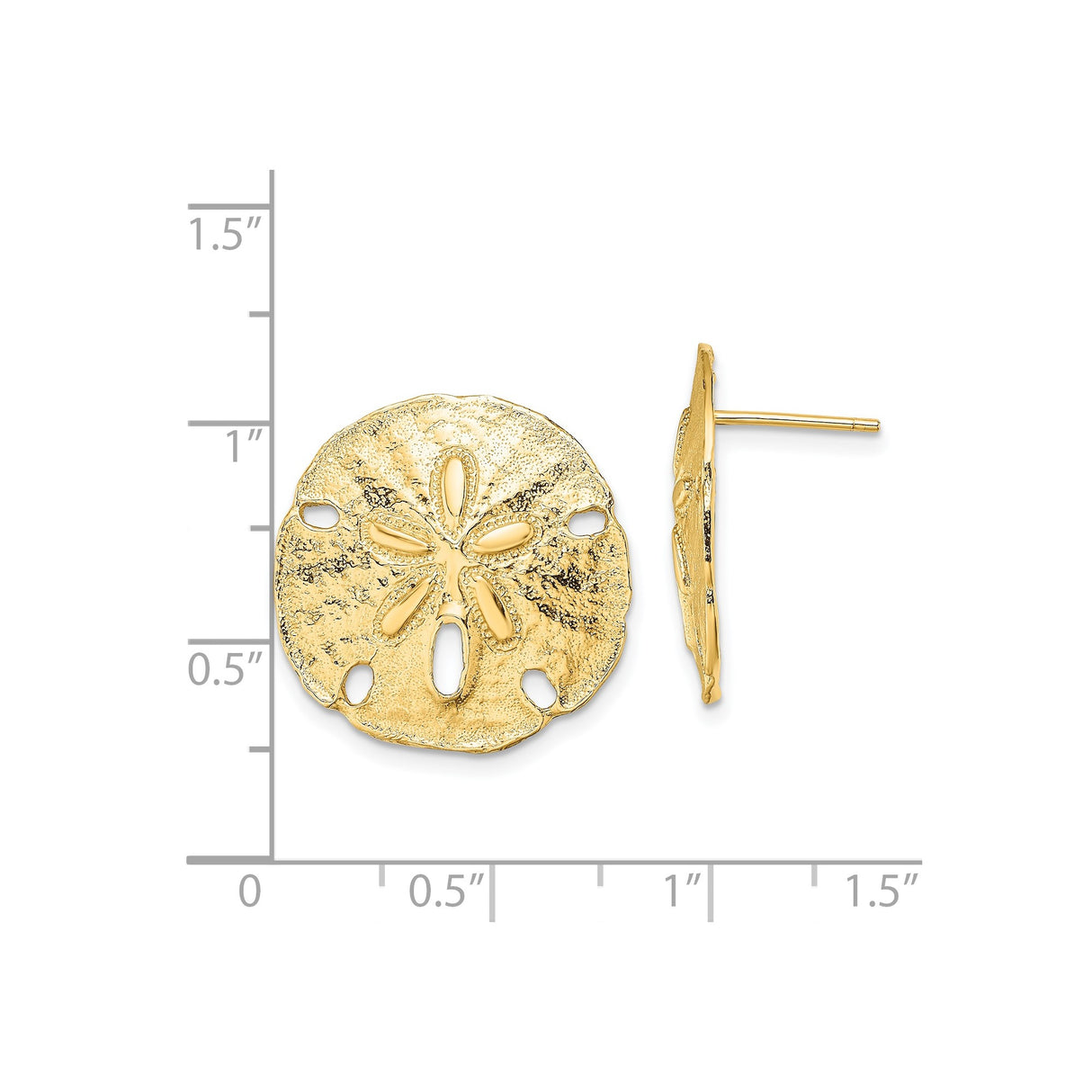 14k Yellow Gold Sand Dollar Stud Earrings, Textured Coastal Nautical Design for Women