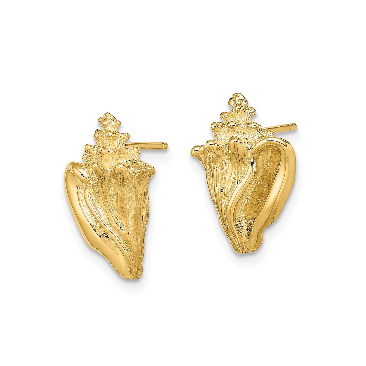 14k Yellow Gold Conch Shell Stud Earrings, Textured Nautical Beach Style for Women
