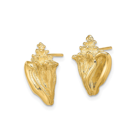 14k Yellow Gold Conch Shell Stud Earrings, Textured Nautical Beach Style for Women