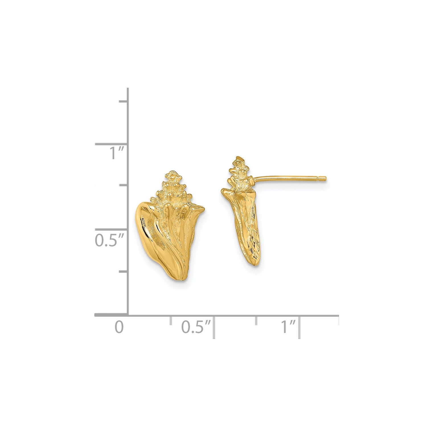 14k Yellow Gold Conch Shell Stud Earrings, Textured Nautical Beach Style for Women