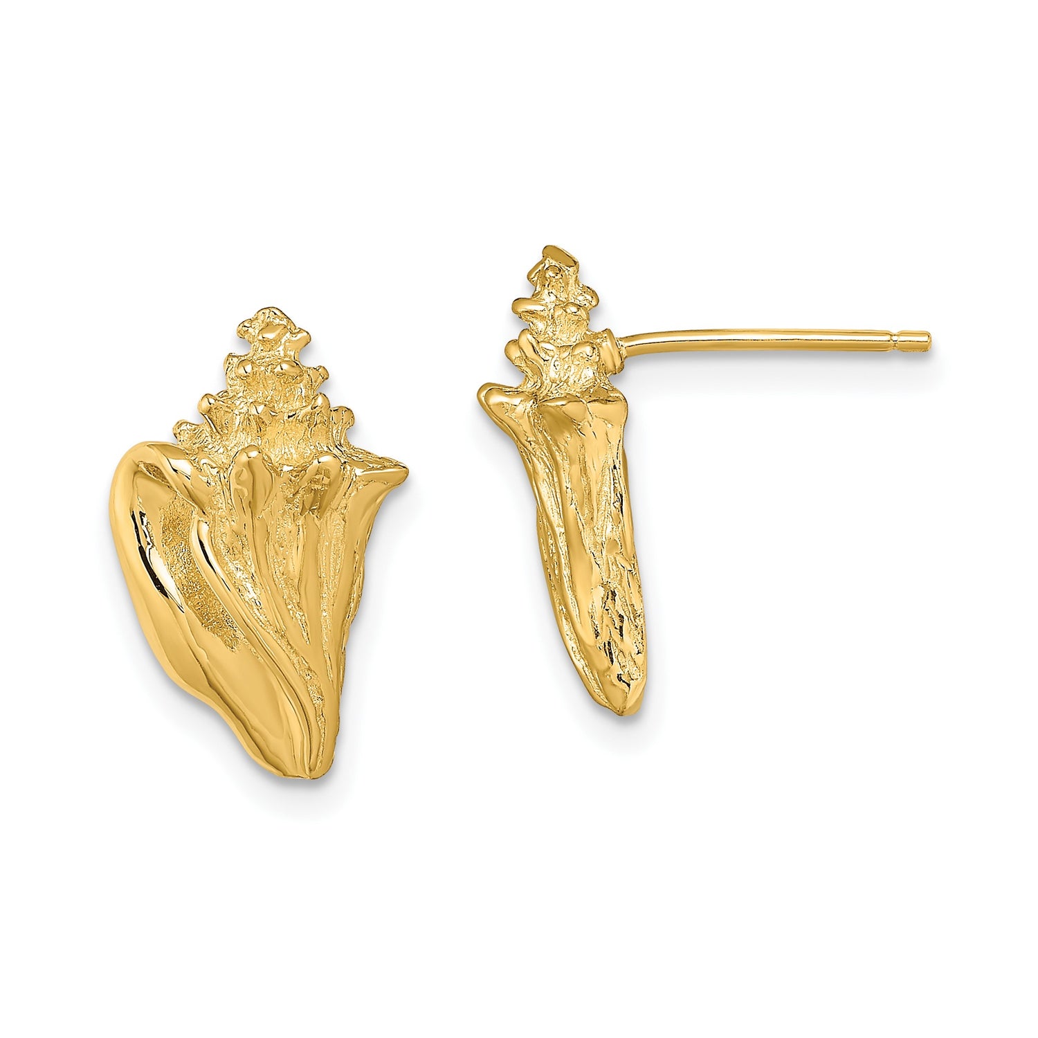 14k Yellow Gold Conch Shell Stud Earrings, Textured Nautical Beach Style for Women