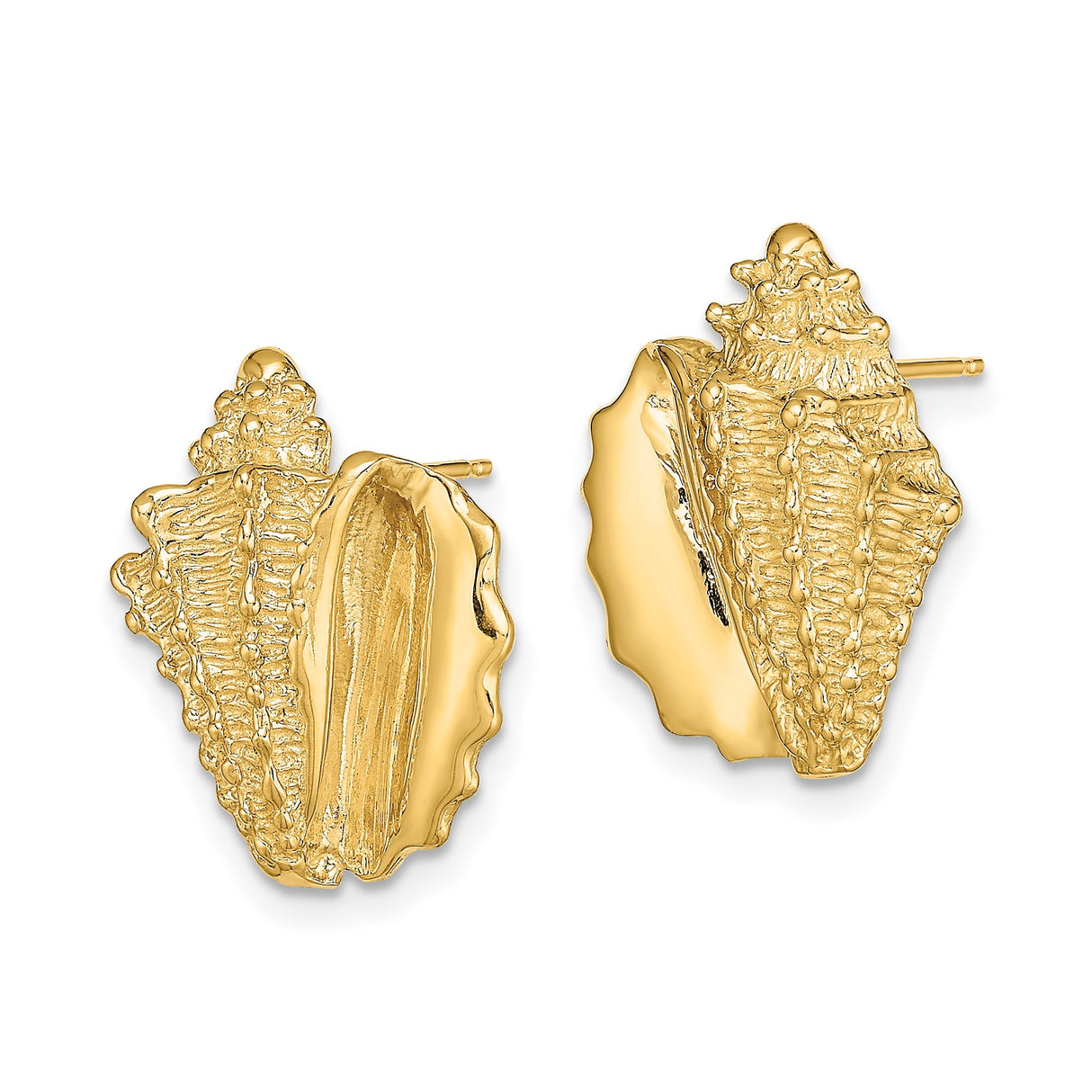 14k Yellow Gold Seashell Stud Earrings, Conch Shell Marine Life Coastal Style