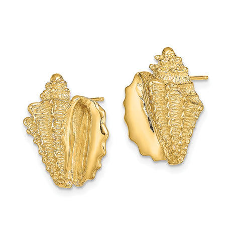 14k Yellow Gold Seashell Stud Earrings, Conch Shell Marine Life Coastal Style