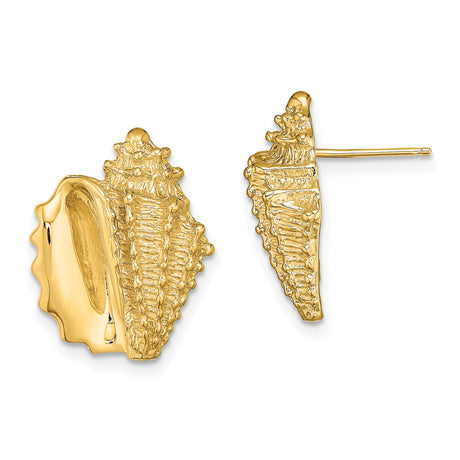 14k Yellow Gold Seashell Stud Earrings, Conch Shell Marine Life Coastal Style